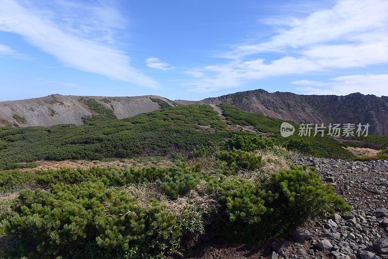 日本 约泰赞